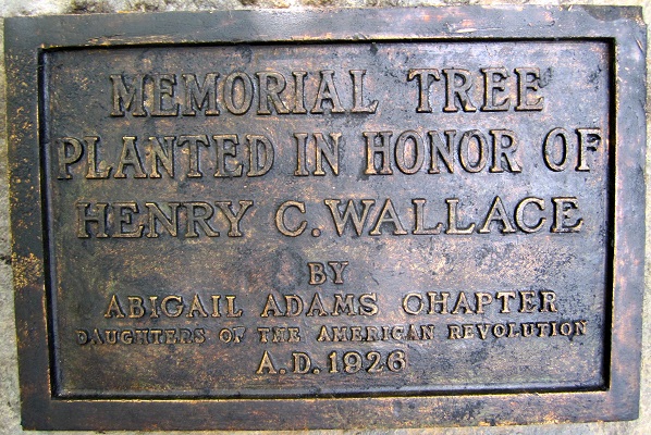 plaque Wallace
                                          Tree