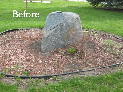 before
landscaping