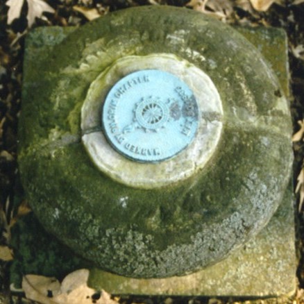 Swan stone