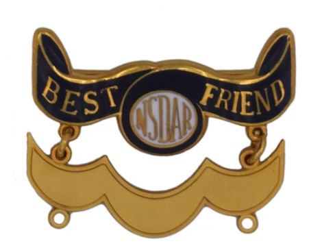 best
                                  friend pin